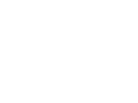 Deep Silver Logo